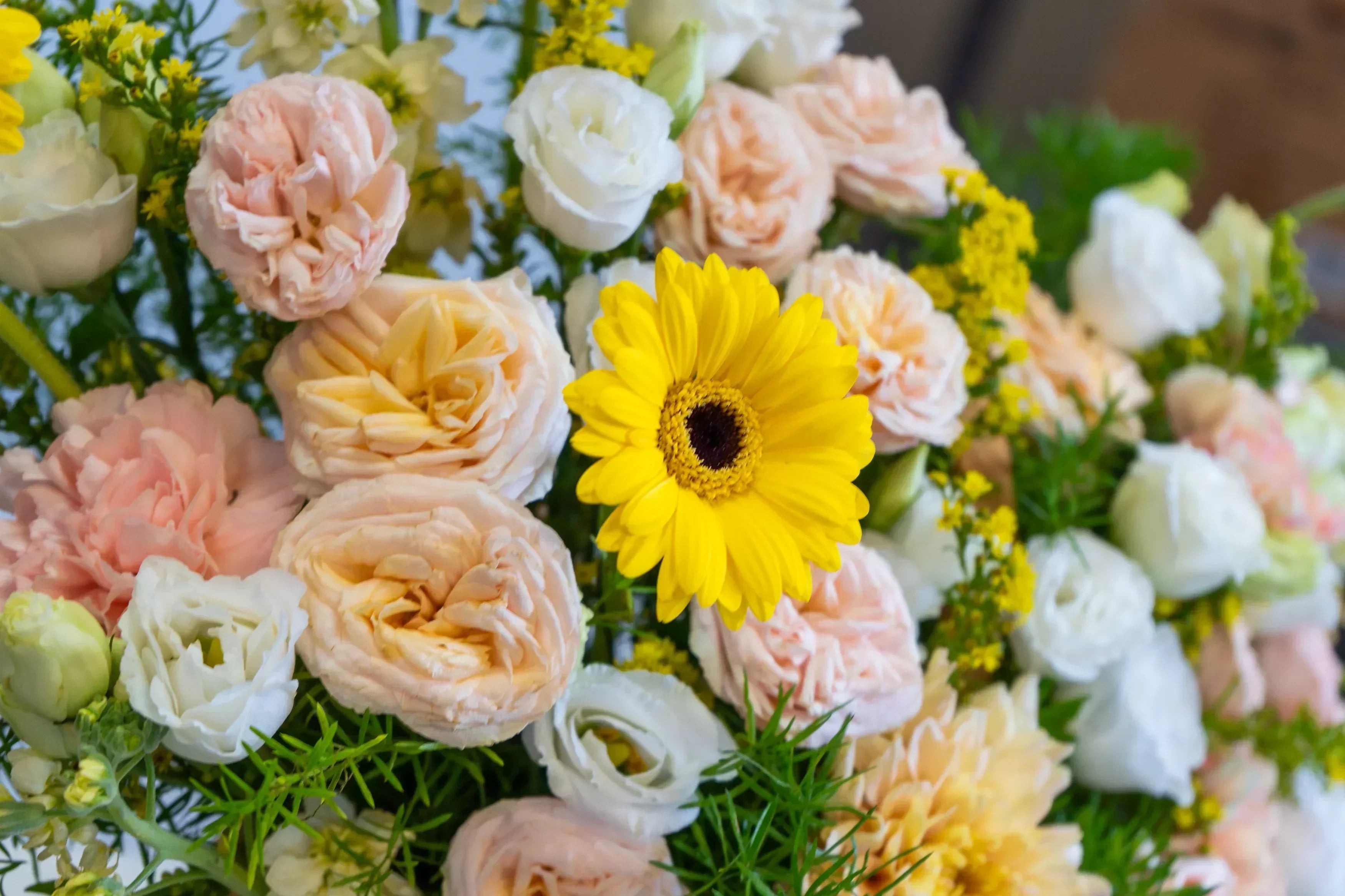 أفضل 10 أزهار تنمو في مناخ دبي