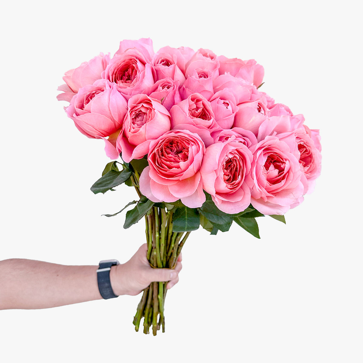 وردة عتيقة رومانسية