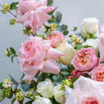 أحمر الخدود والازدهار - متوسط