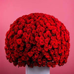 A large arrangement of red roses creating a spherical shape on a pink background.