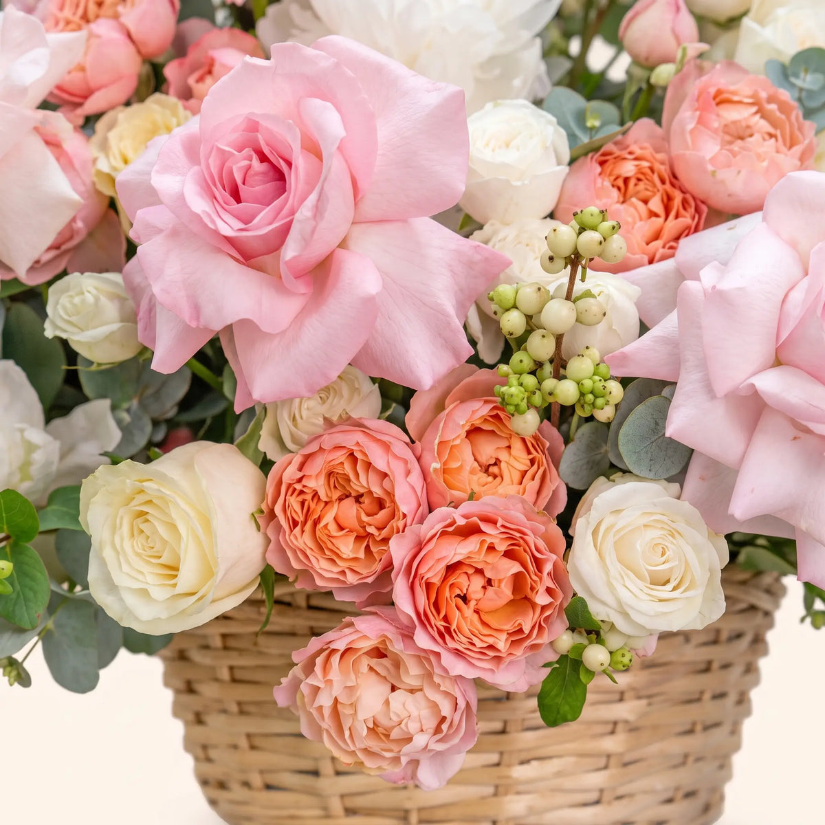 Blush & Bloom - Medium