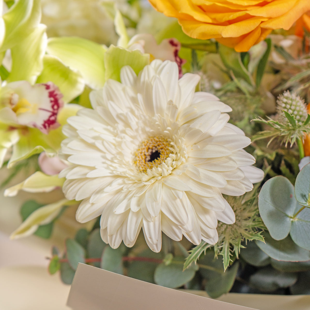 Close-up of a white flower in a bouquet with greenery and other flowers.