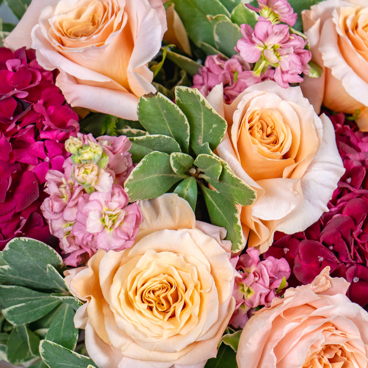 Close-up of a bouquet of flowers with roses and hydrangeas.