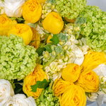 Bouquet of yellow, green, and white flowers