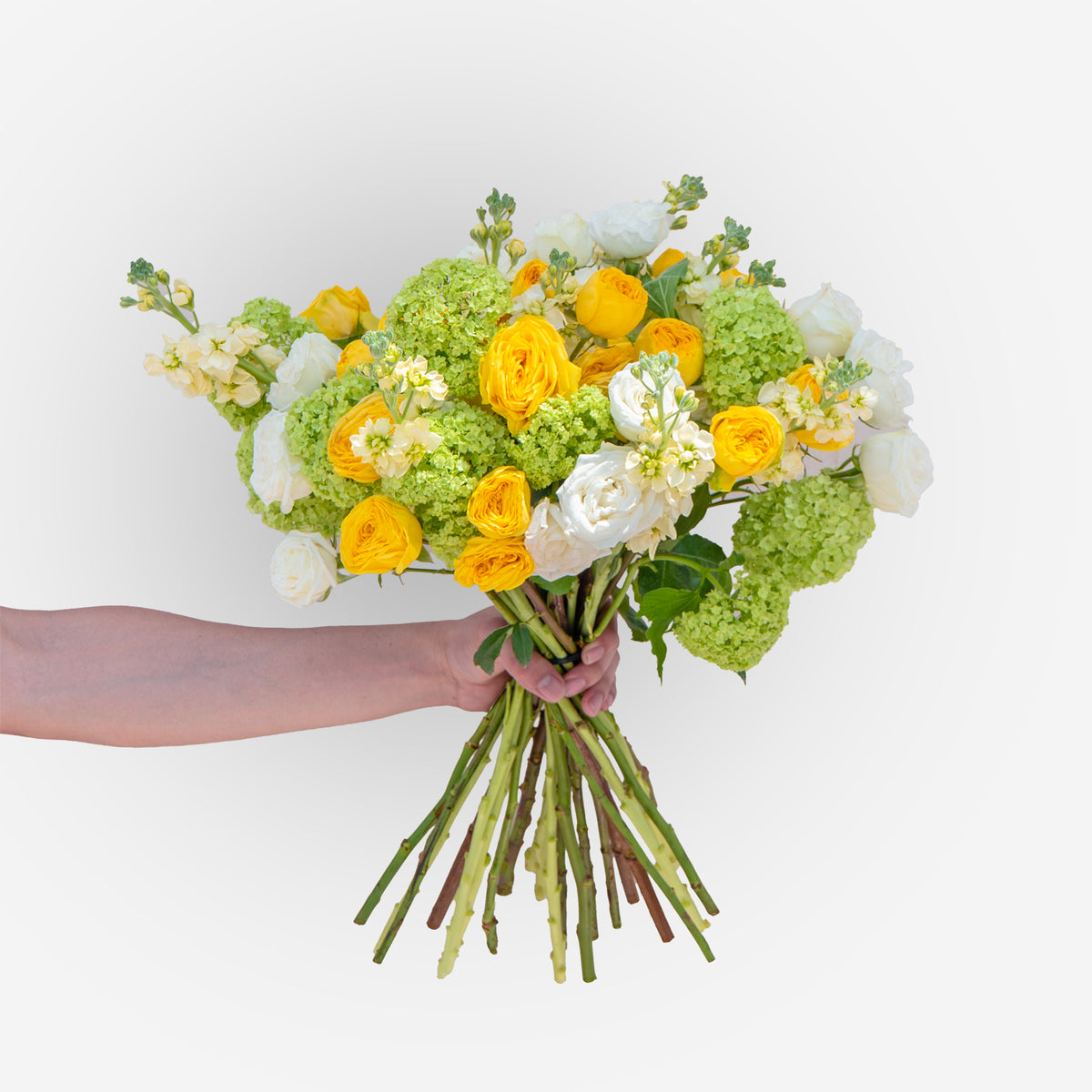 Bouquet of yellow, green, and white flowers held by a hand on a white background