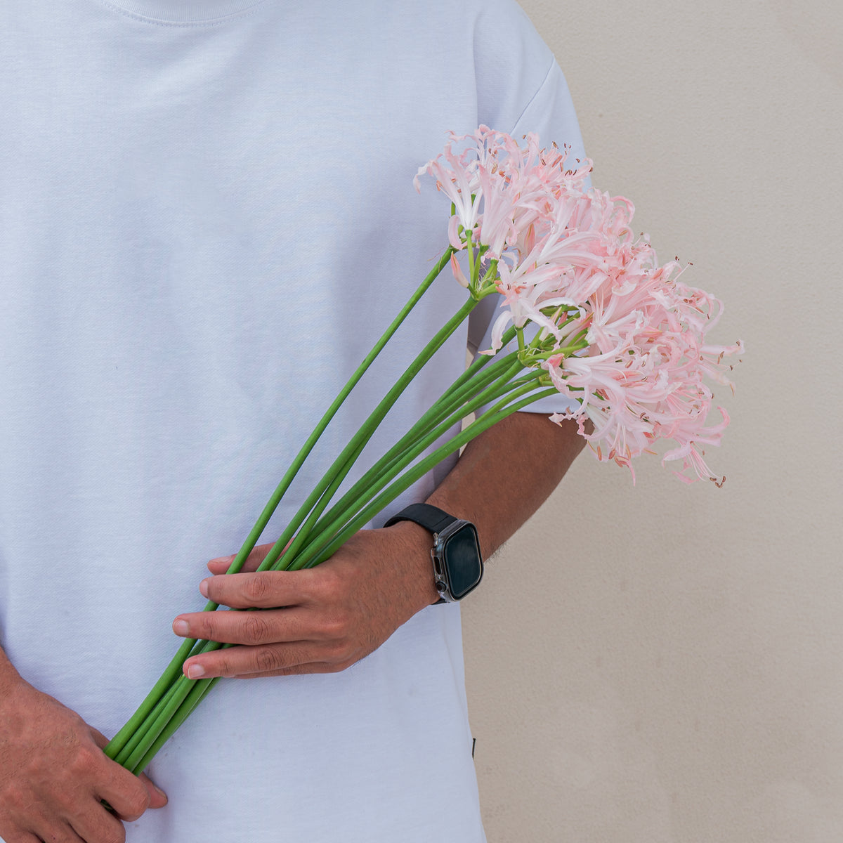 نيرين فيستا