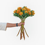 Bouquet of orange flowers held by a person against a white background