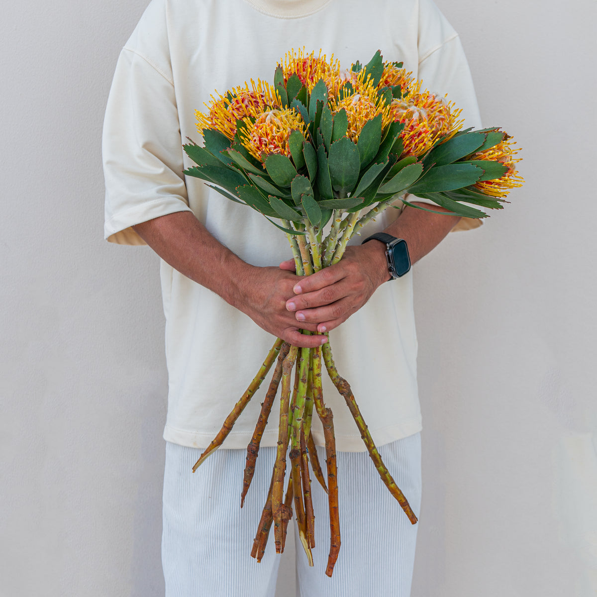 Person holding a bouquet of flowers against a plain background