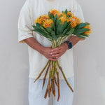 Person holding a bouquet of flowers against a plain background