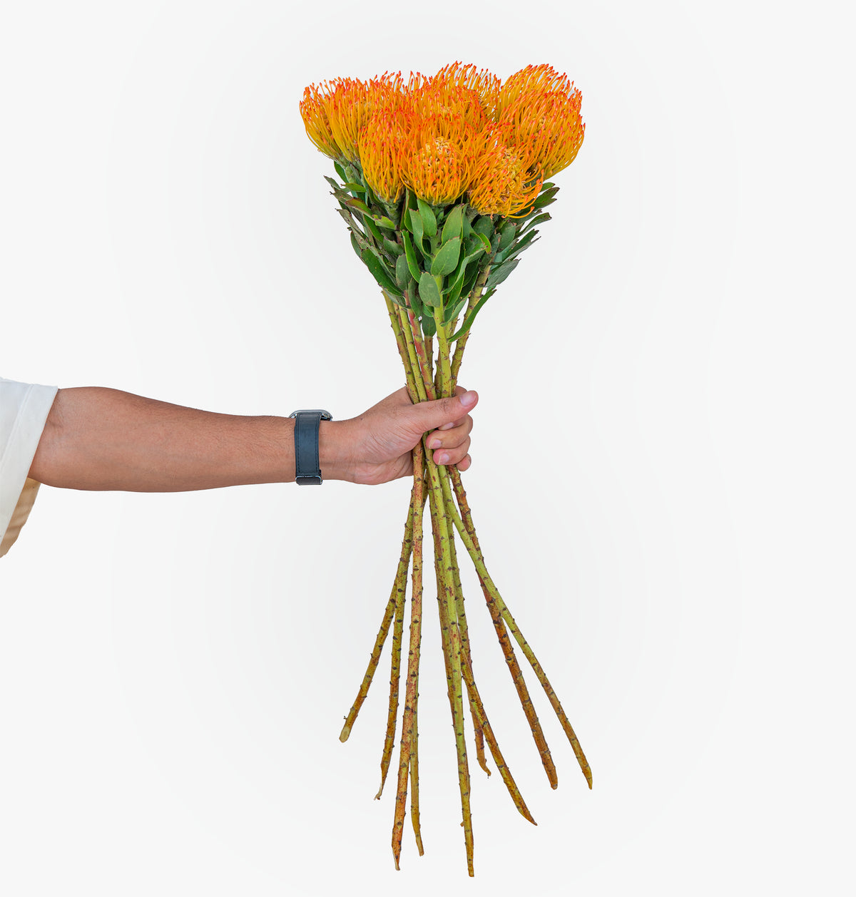 Hand holding a bouquet of orange flowers against a white background