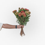 Hand holding a bouquet of flowers against a white background
