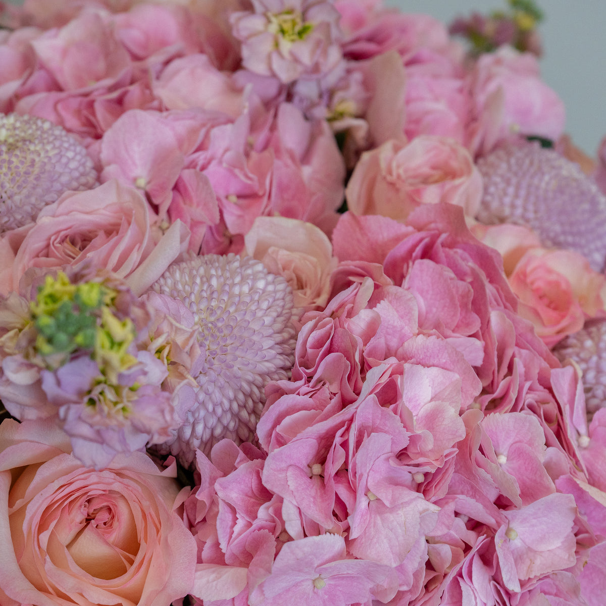 Close-up of a bouquet of pink flowers with a soft focus background