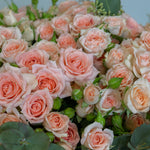 Bouquet of pink roses with green leaves