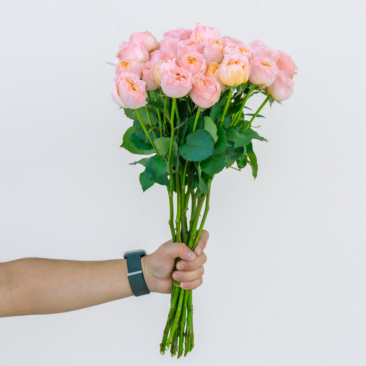 Hand holding a bouquet of pink roses against a light gray background