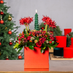 Festive Fir - Standard