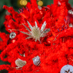 Close-up of red flowers with silver thistle-like plants