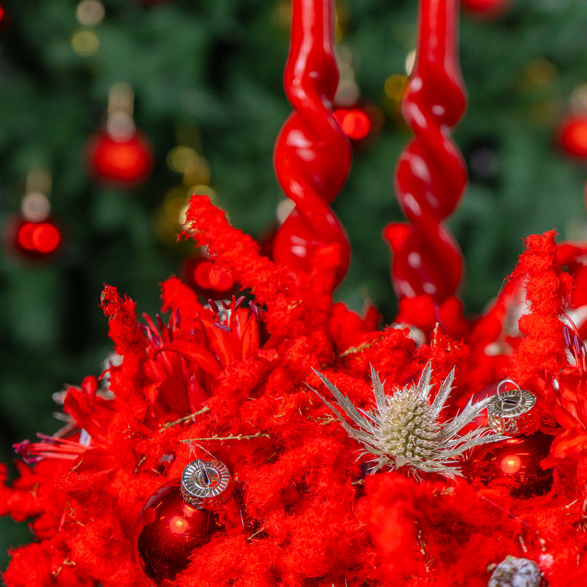 Close-up of red floral decorations with a blurred Christmas tree in the background