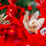 Close-up of a white flower with red and gold decorative elements on a blurred background