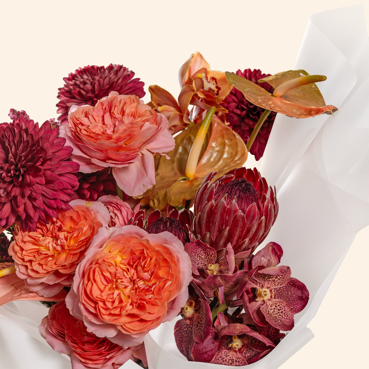 Bouquet of flowers with red, pink, and orange colors on a white background