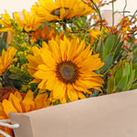 Close-up of a sunflower with a blurred background