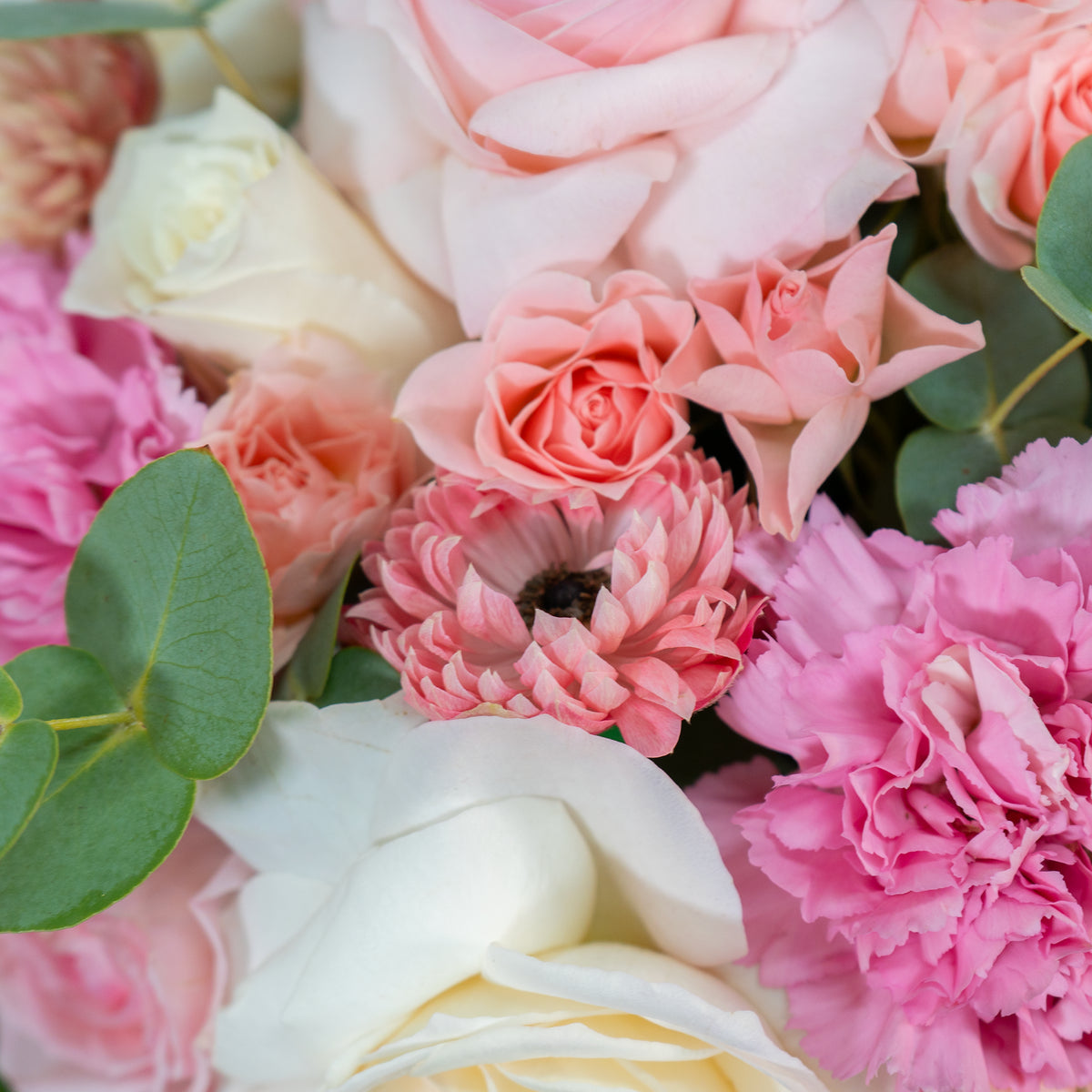 Close-up of a bouquet of pink and white flowers with green leaves.