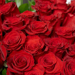 Close-up of a bouquet of red roses with green leaves.