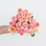 Bouquet of pink and peach roses held by a person on a light background
