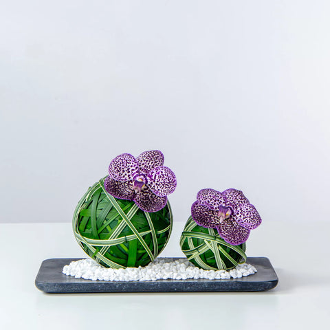 Felicity luxury flower arrangement with fresh flowers for gifting in Dubai UAE
