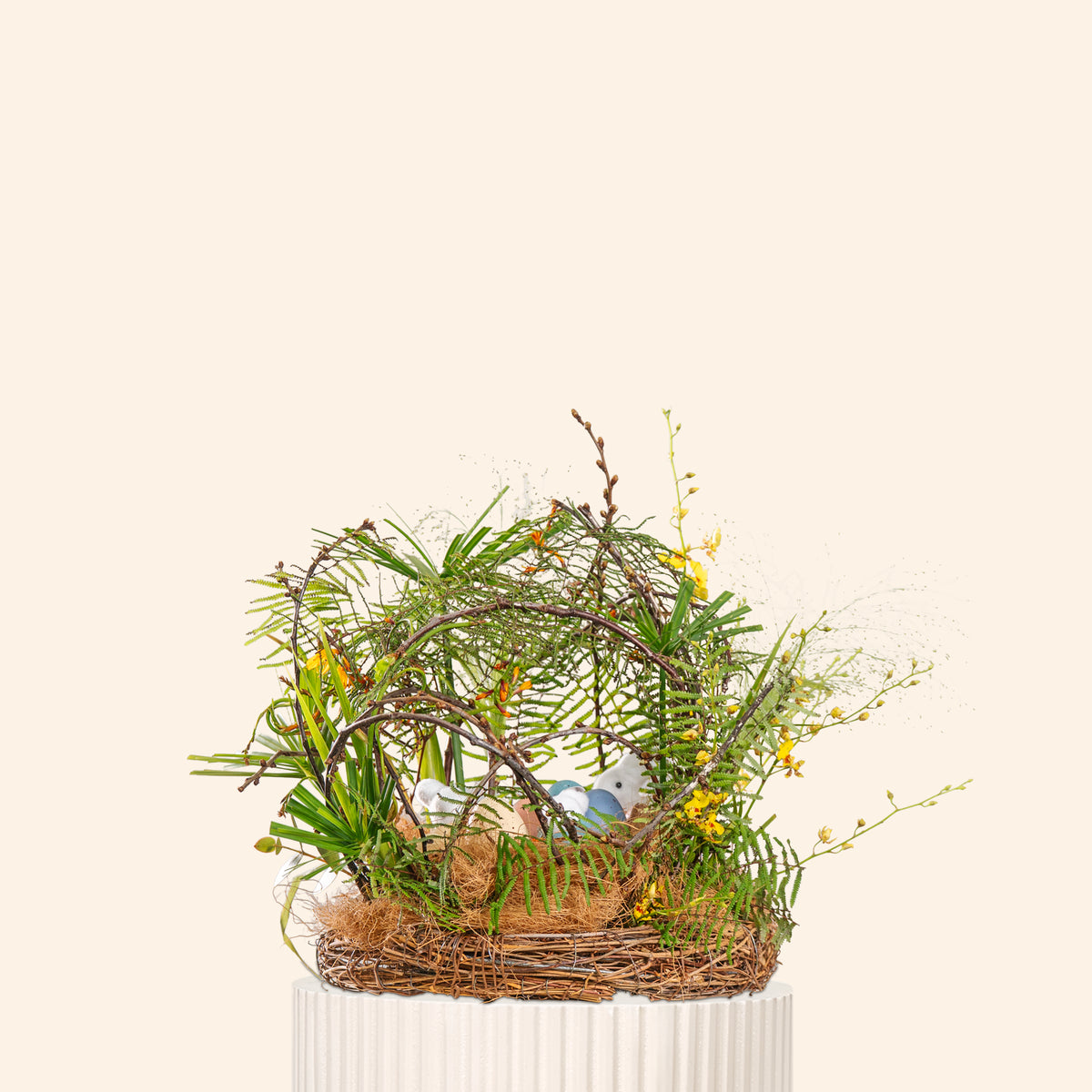 Decorative arrangement with plants and a nest on a white background