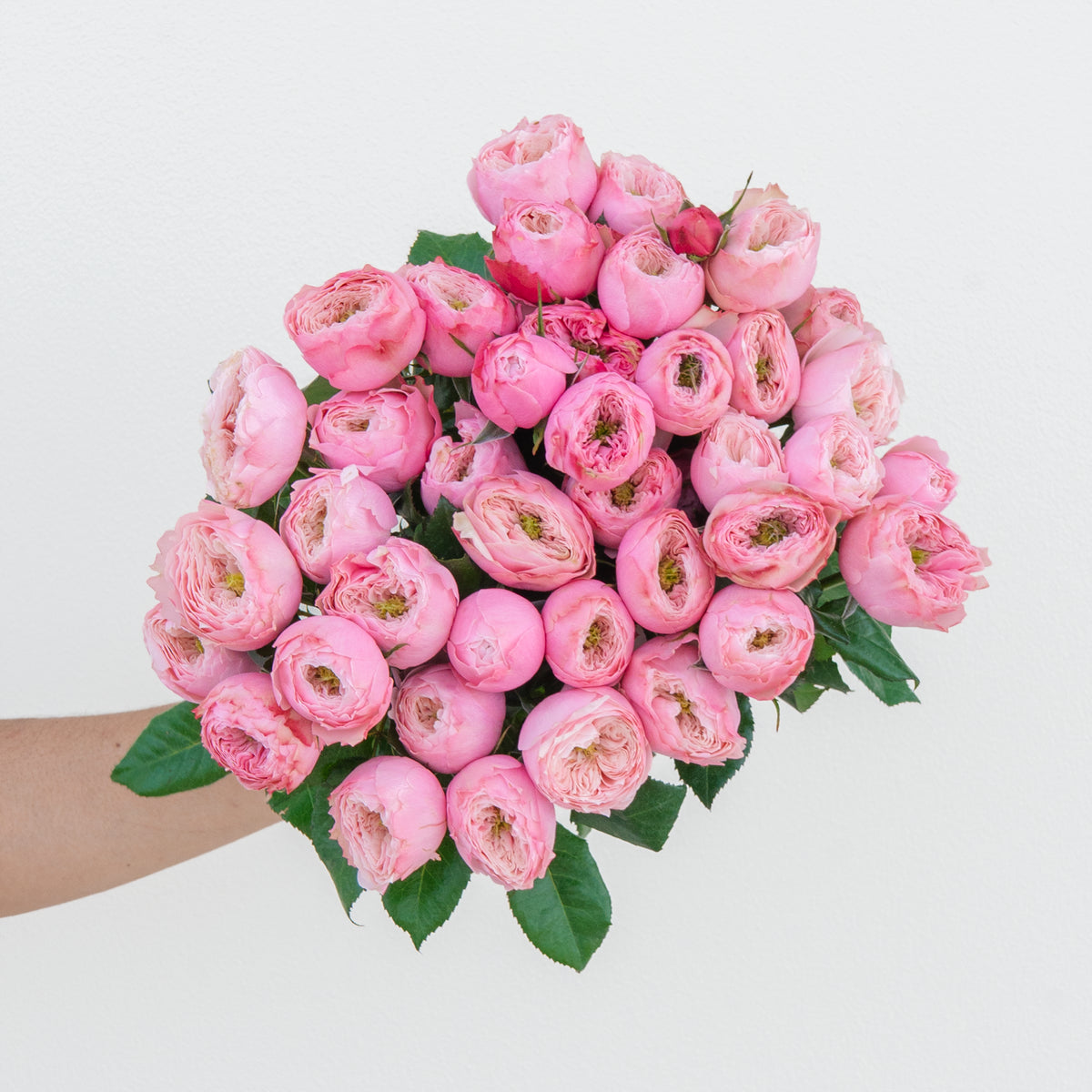 Bouquet of pink roses held by a person on a light gray background
