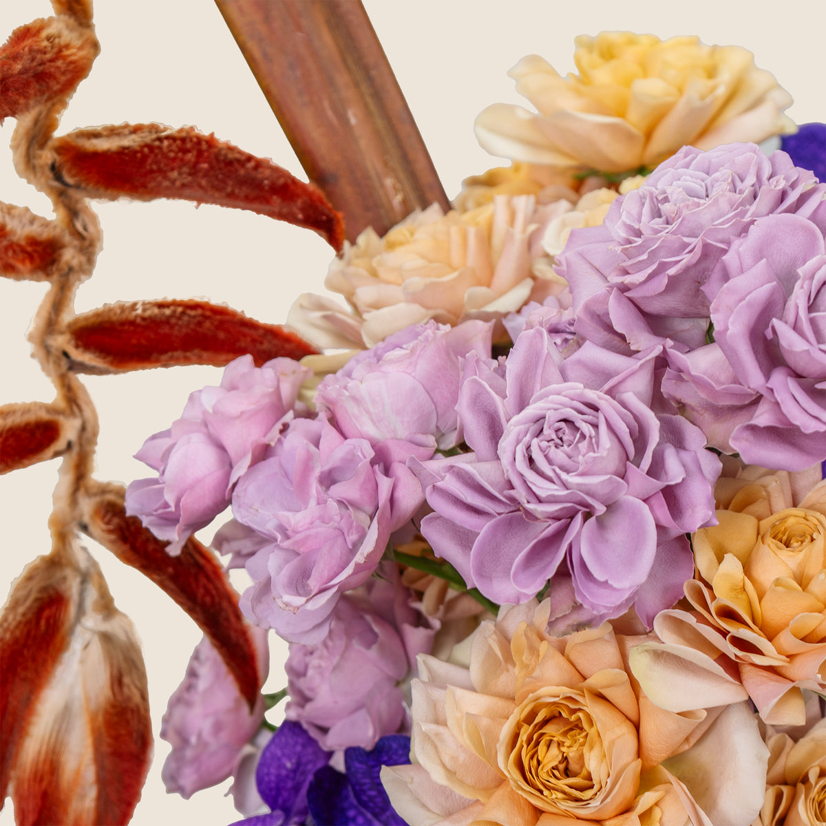 Close-up of a bouquet with purple, yellow, and orange flowers on a beige background
