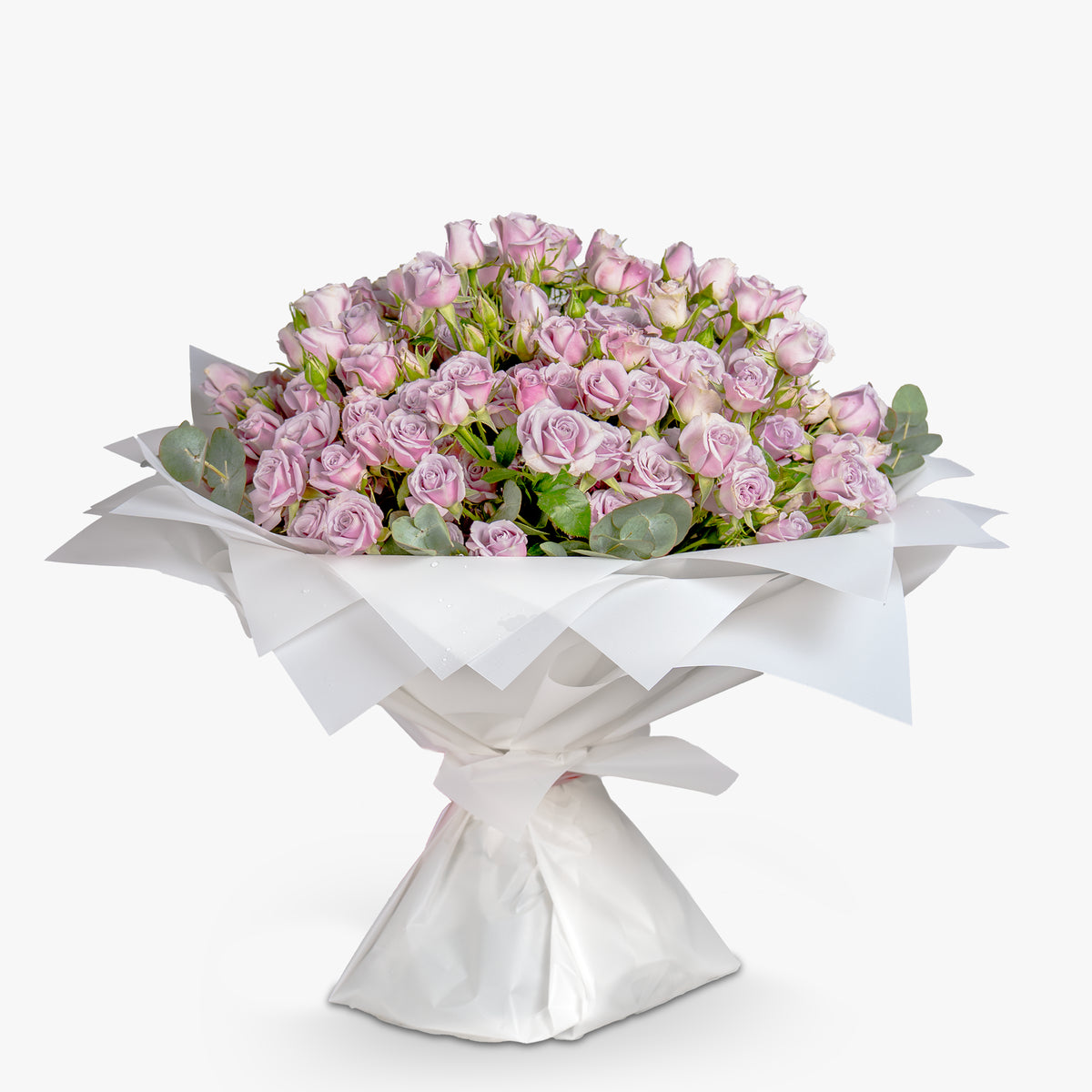 Bouquet of pink roses wrapped in white paper on a white background