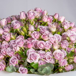 Bouquet of pink roses with green leaves on a light gray background