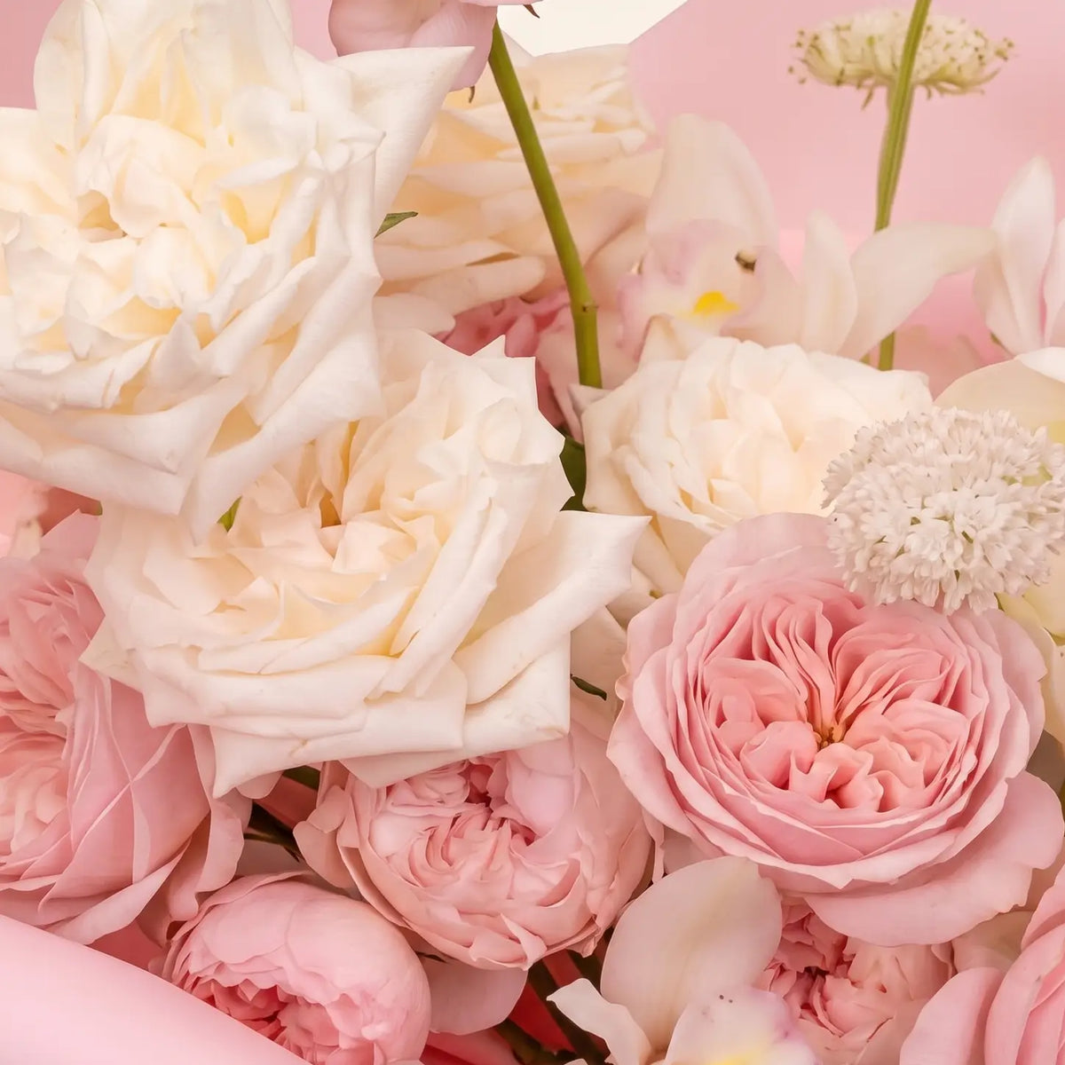 Rose Garden Whisper