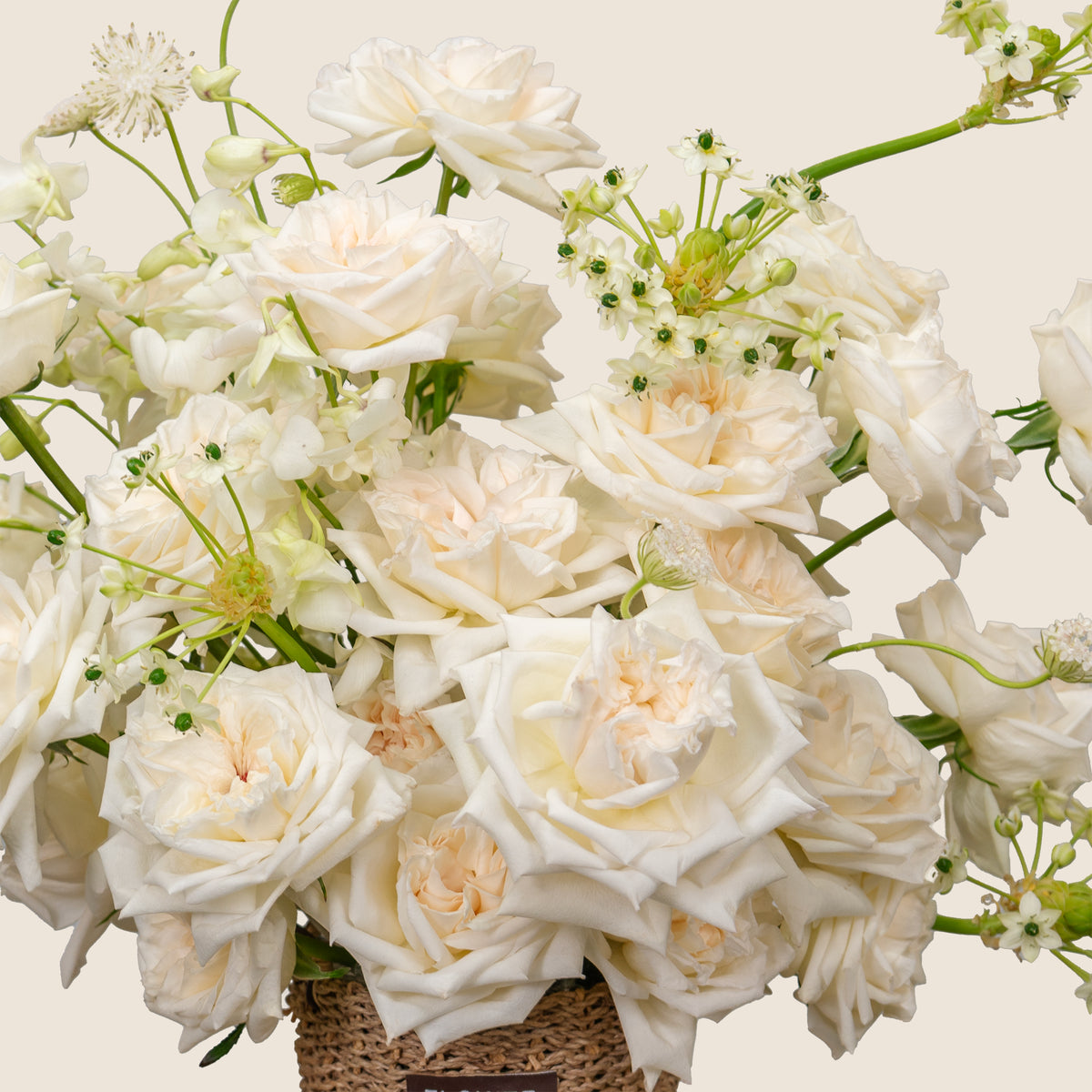 Bouquet of white and light pink roses with greenery on a neutral background