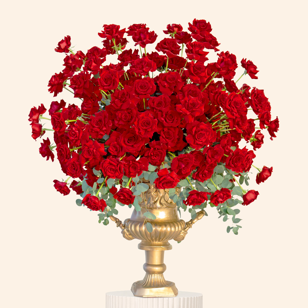 Bouquet of red roses in a gold urn on a white background