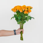 Bouquet of yellow roses held by a person against a light gray background