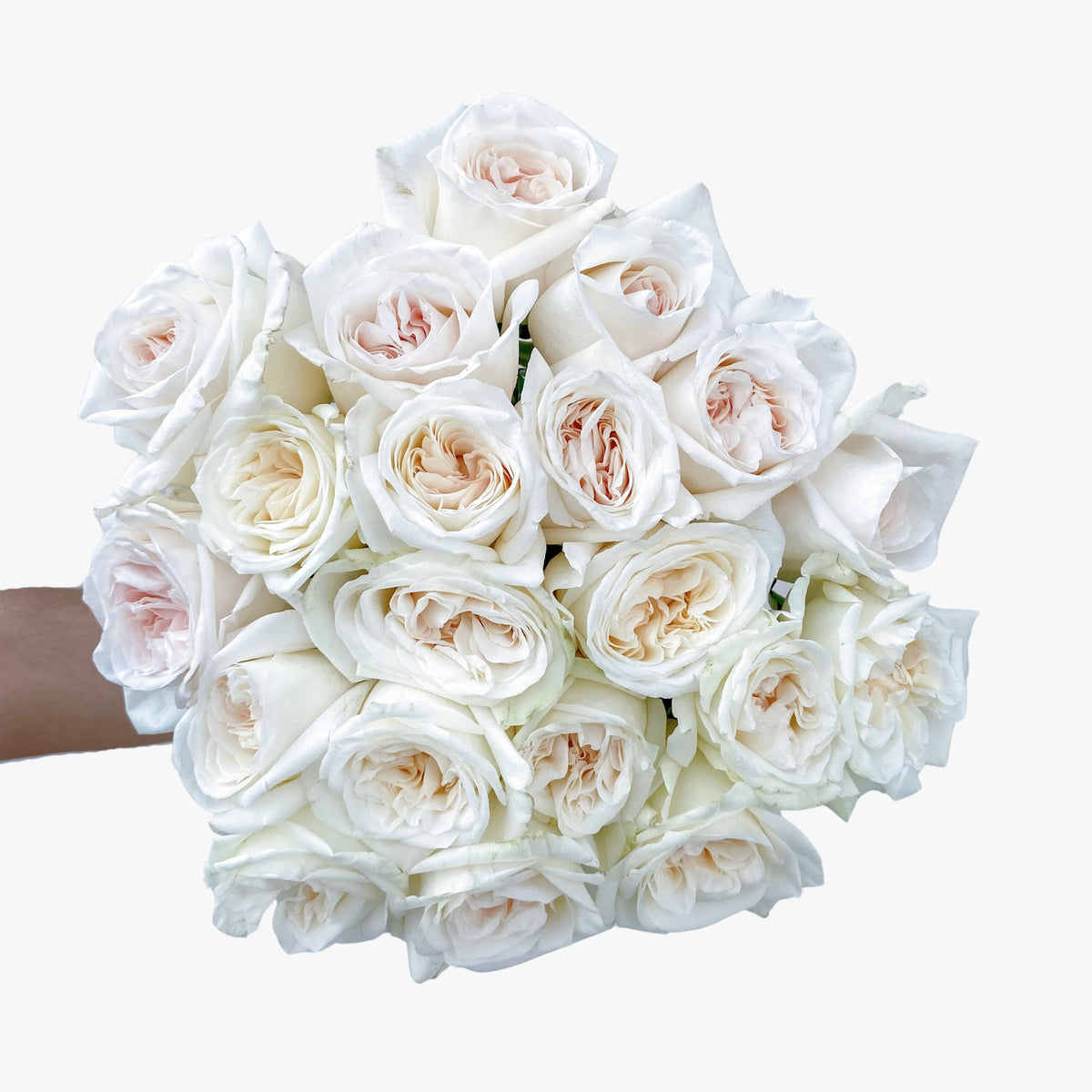 وايت أوهارا