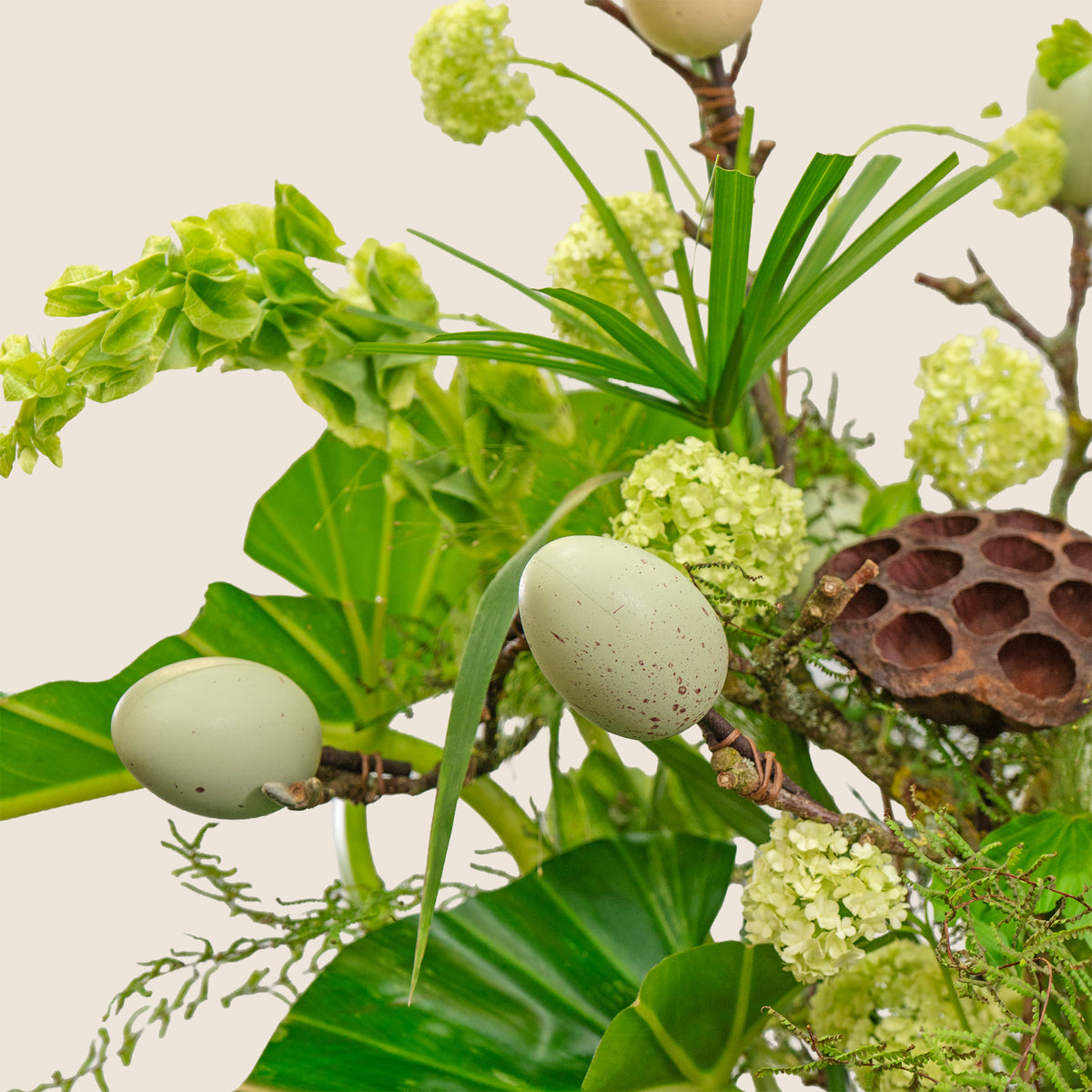 Decorative arrangement with green eggs, leaves, and flowers on a white background