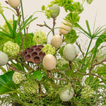 Decorative arrangement with eggs and greenery on a white background