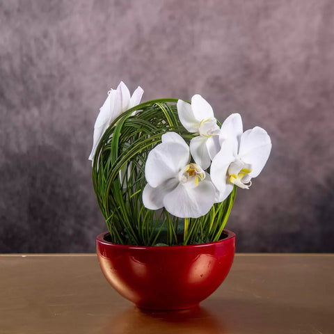 Radiant Reflections luxury flower arrangement with fresh flowers for gifting in Dubai UAE