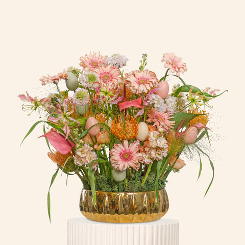 Apricot Bloom