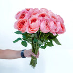 Romantic Antike Rose