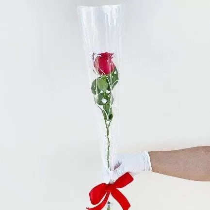 Single Red Rose
