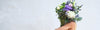 Celebrate Women’s Day with Al Jowder Flowers