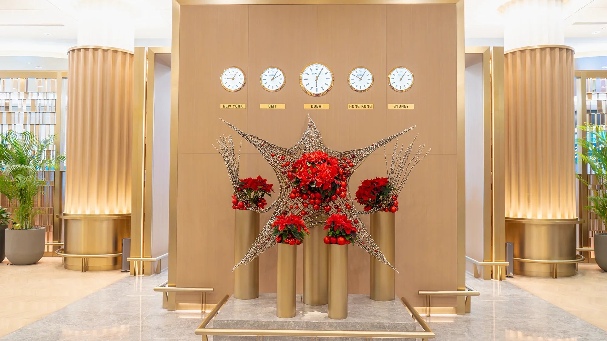 The Sparkling Star of the Skies