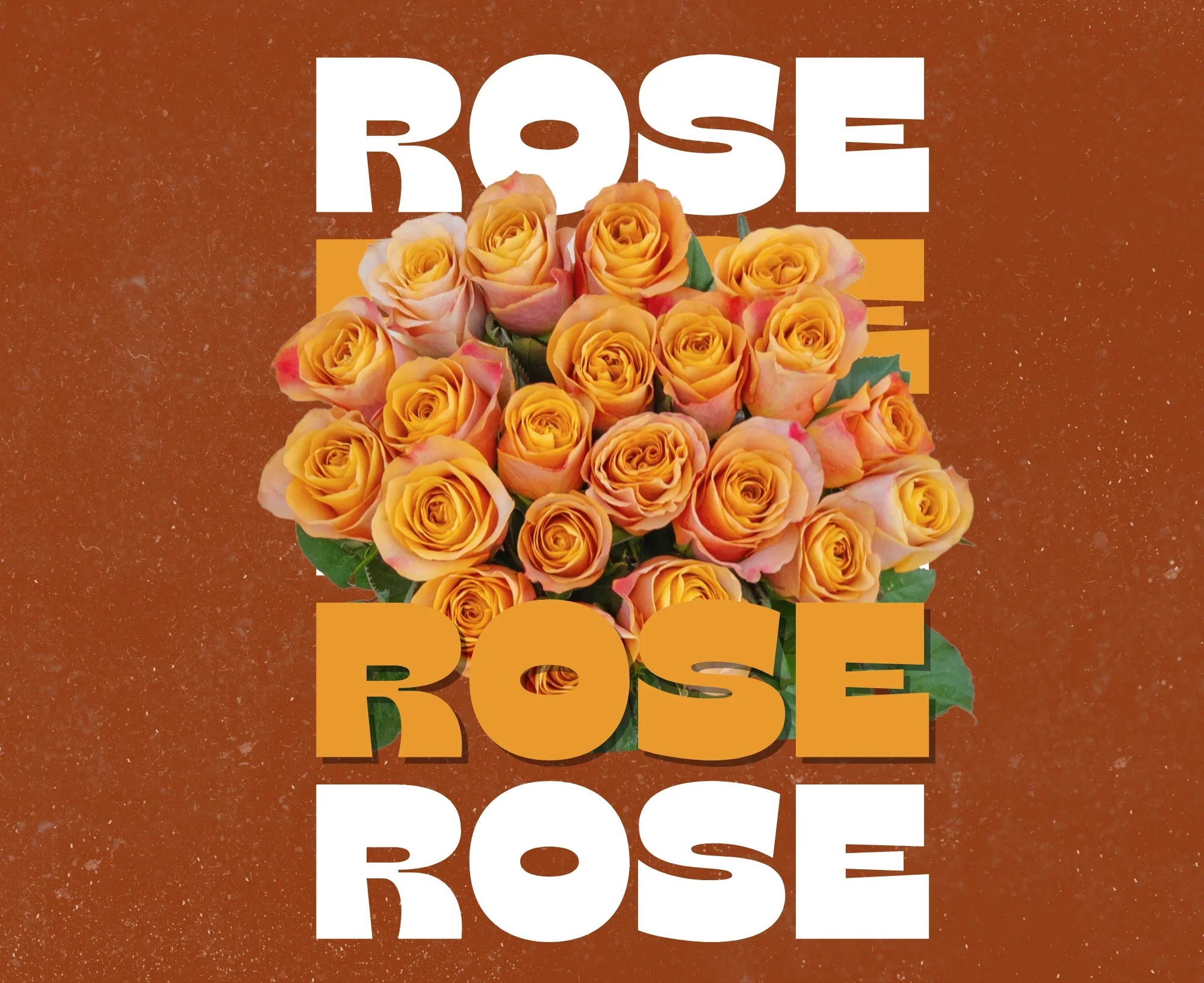 The Ultimate Guide to Roses in Dubai: Premium Varieties Available