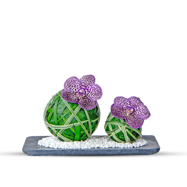 Centerpiece Arrangements