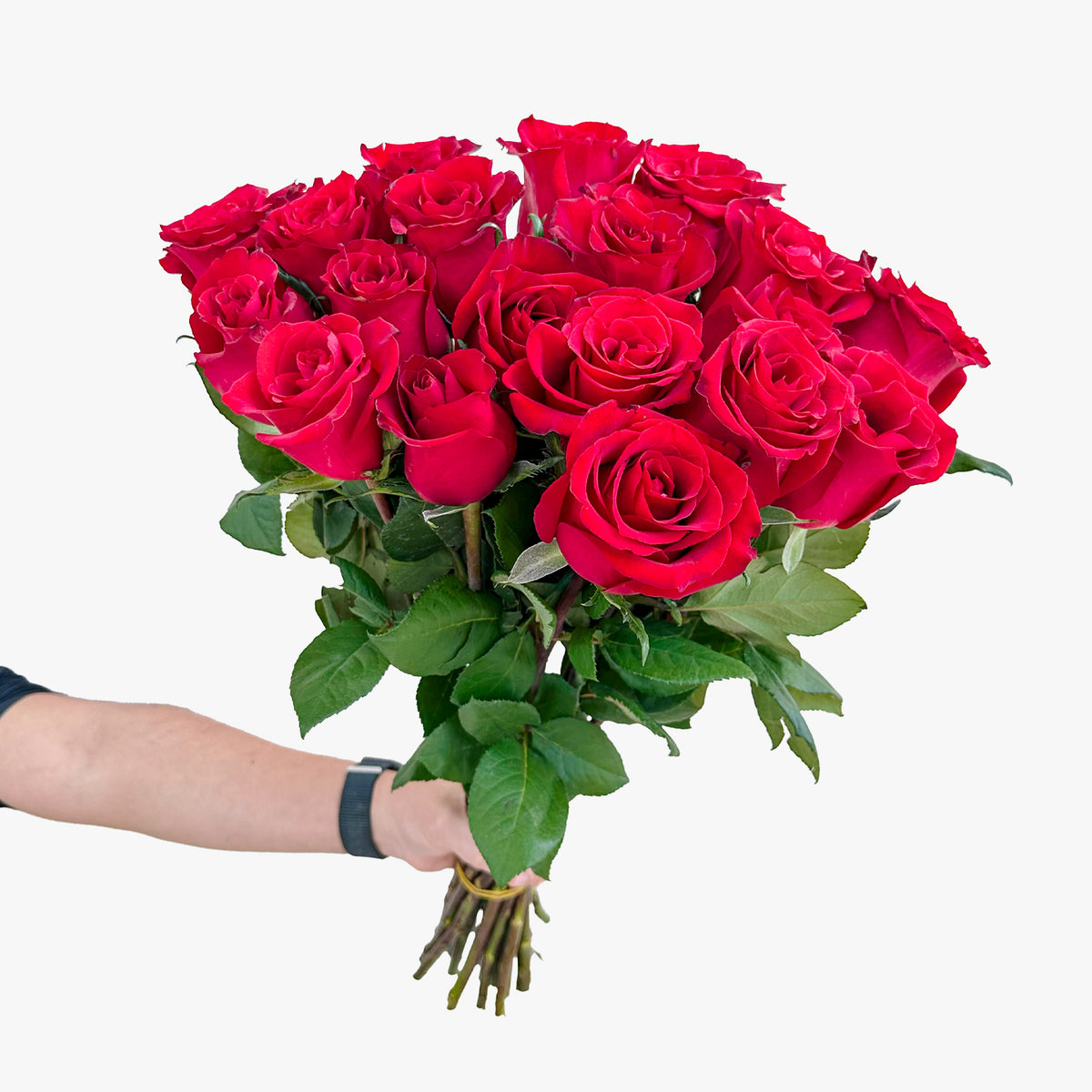 Everred Roses Ever Red Rose | Express Flower Delivery UAE | Al Jowder Flowers