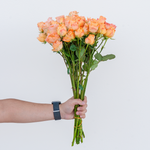 Hand holding a bouquet of peach-colored roses against a light gray background